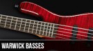 Warwick : Left Handed Bass Guitars
