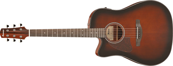 Ibanez AAD51LCE