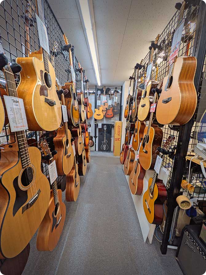 Taniguchi Gakki Left Handed Acoustic Guitars